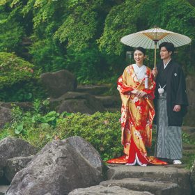 色打掛/未使用展示見本品/個性的 打掛 縹紗綾地竹鶴模様 文化遺産オンライン